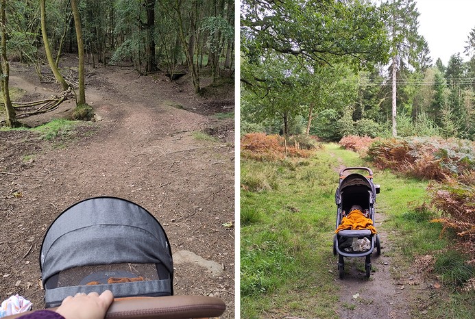 2 pictures of Joie Mytrax Pro in forest