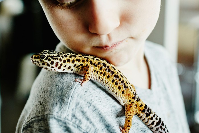 boy with lizard gecko