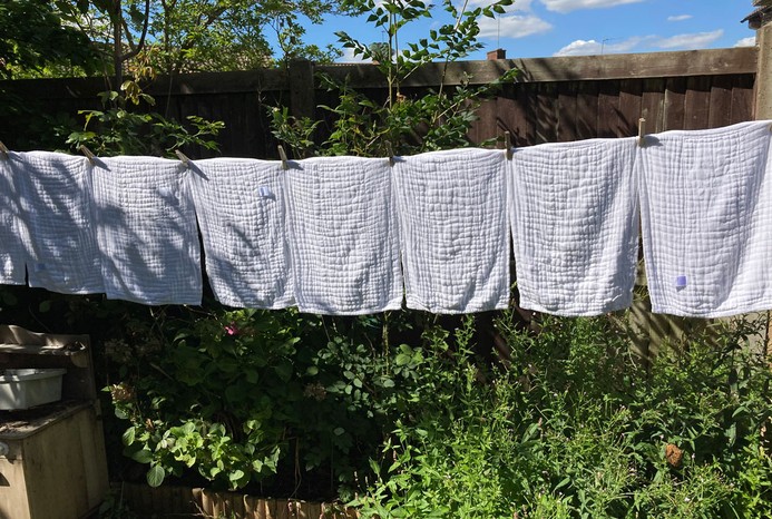 nappies drying in sunlight